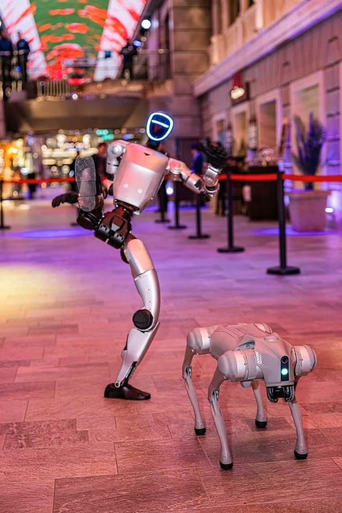 Unitree Robotics on MSC Bellissima