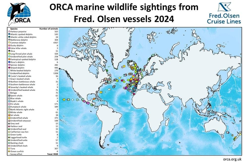 ORCA Marine Wildlife Sightings From Fred. Olsen Vessels 2024
