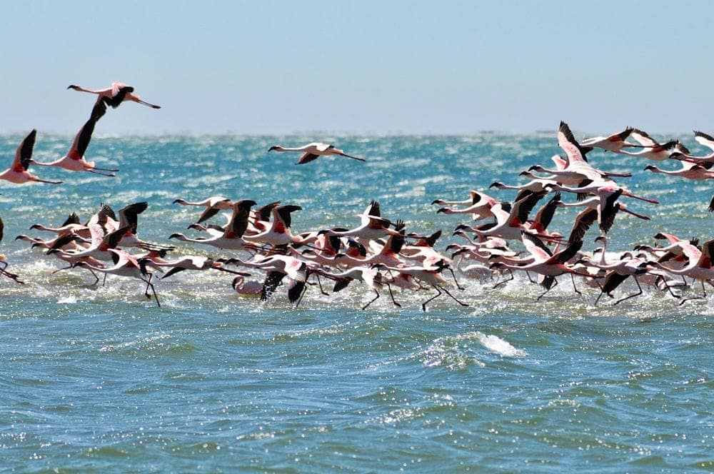 Walvis Bay, Namibia