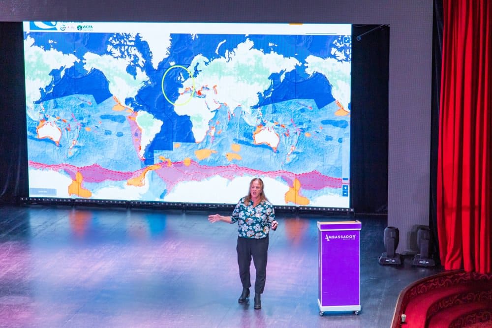 Ocean Conservationists on board Ambience provide talks, workshops and interpretation for passengers as well as the daily deck watches