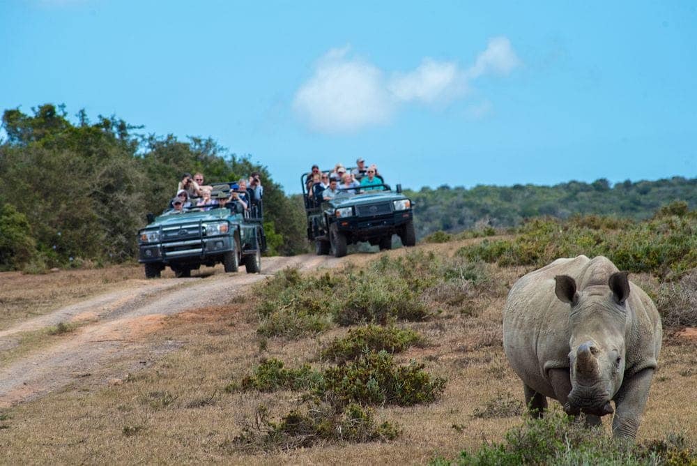 Gqeberha (Port Elizabeth), South Africa