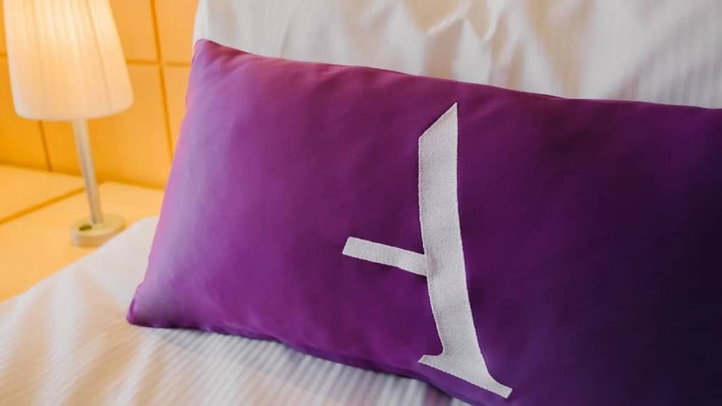 Ambassador Cruise Lines' distinctive branding