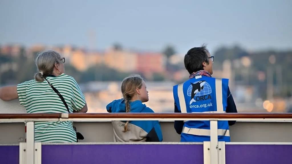 With Ambassador Cruise Line, the thrill of spotting whales and wildlife transforms an ordinary cruise into an extraordinary voyage