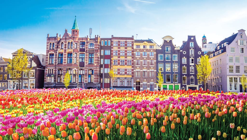 TUI River Cruises will take you to the Amsterdam Tulips