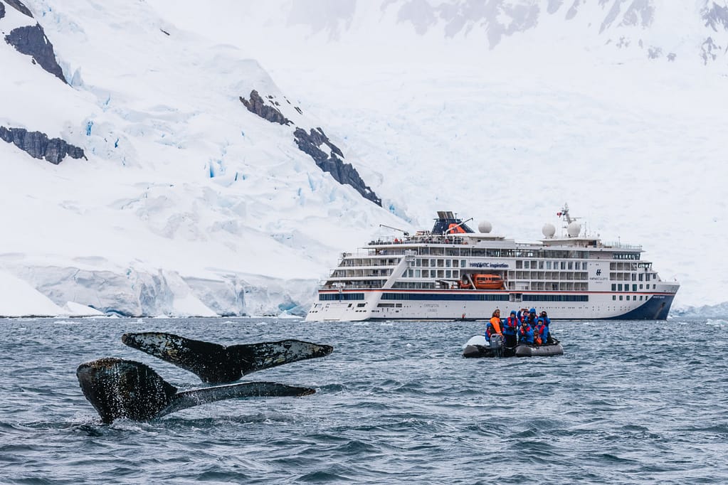 The three expedition ships feel equally at home in polar regions as they do in warmer climates