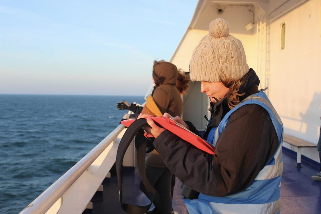 ORCA will be deploying the first dedicated ORCA-trained Marine Mammal Observer (MMO) aboard a ship during the cruise line’s inaugural Alaska season in summer 2026