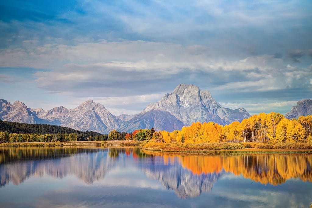 Yellowstone Awakens - Spring & Fall