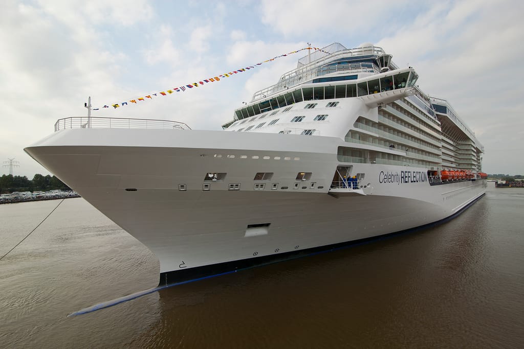 Celebrity Reflection