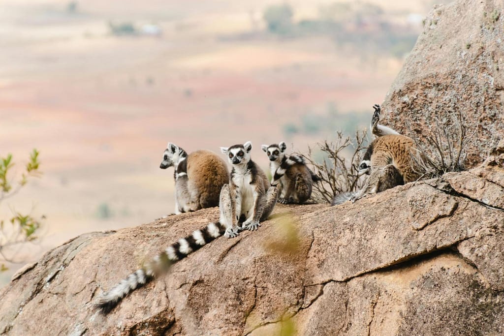 Madagascar