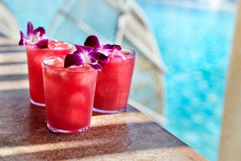 Scarlet Lady Cocktails