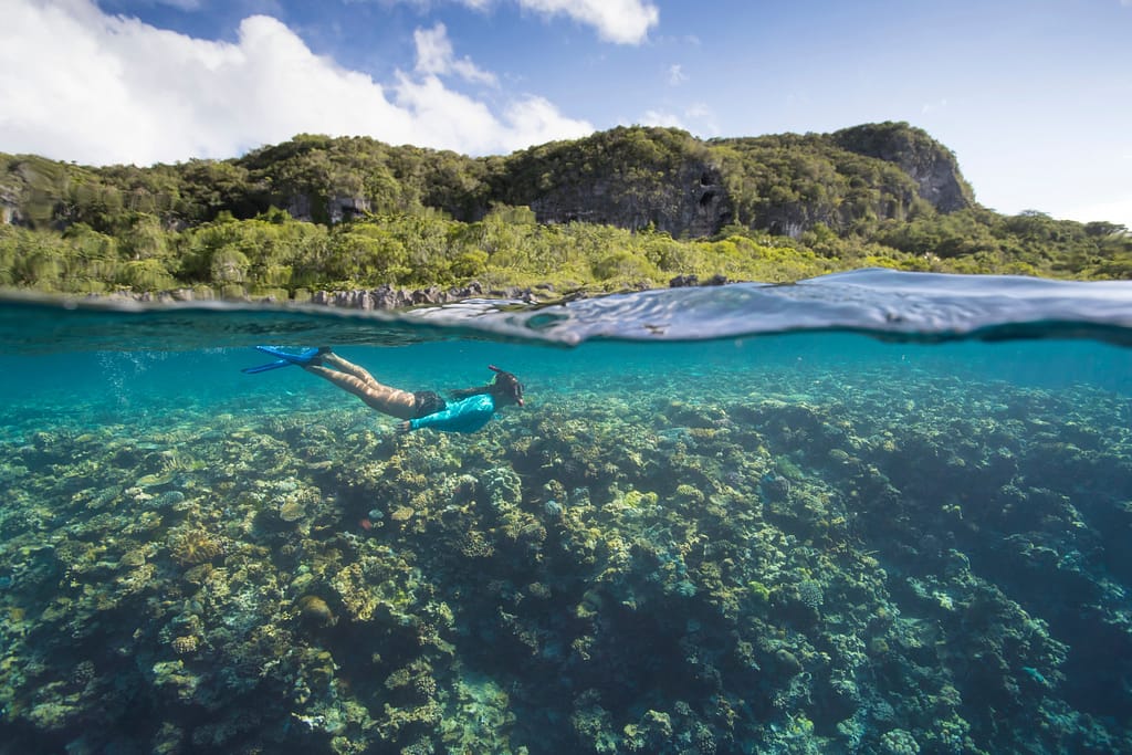 Underwater Reef Landscape - ©2023 Seabourn Cruise Lines, Inc