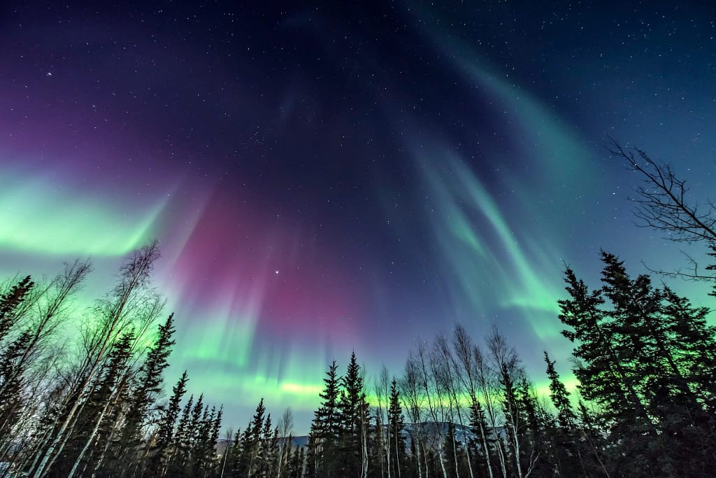 Princess Cruises will take you to the Alaskan Northern Lights