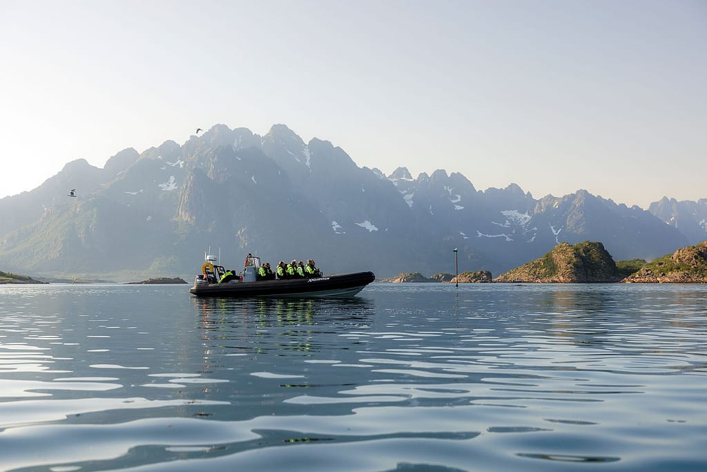 Guests from Havila Voyages at a sea eagle excursion in Lofoten