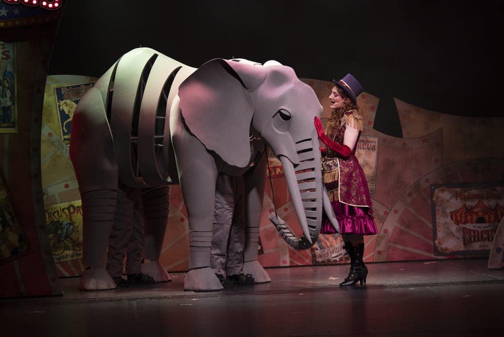 Marella Discovery 2 - Jumbo the Wonder Elephant
