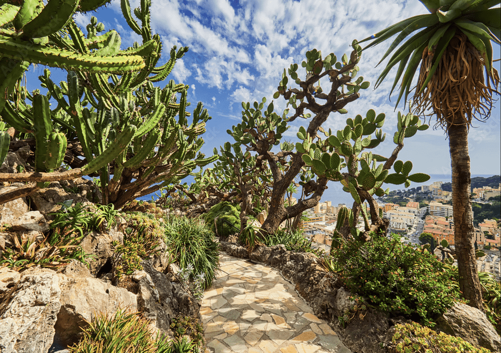 Jardin Exotique, Monaco, France