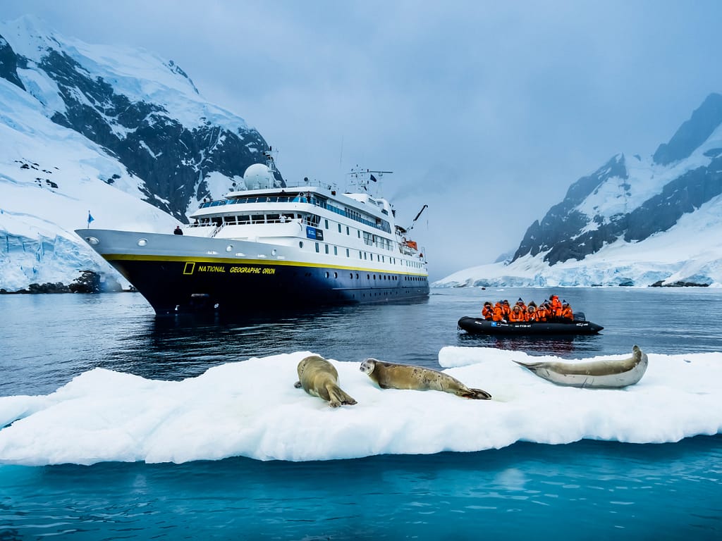 National Geographic-Lindblad Expeditions - Crabeater Seals , Lobodon carcinophaga, on an icefloe, Lemaire Channel, Antarctica