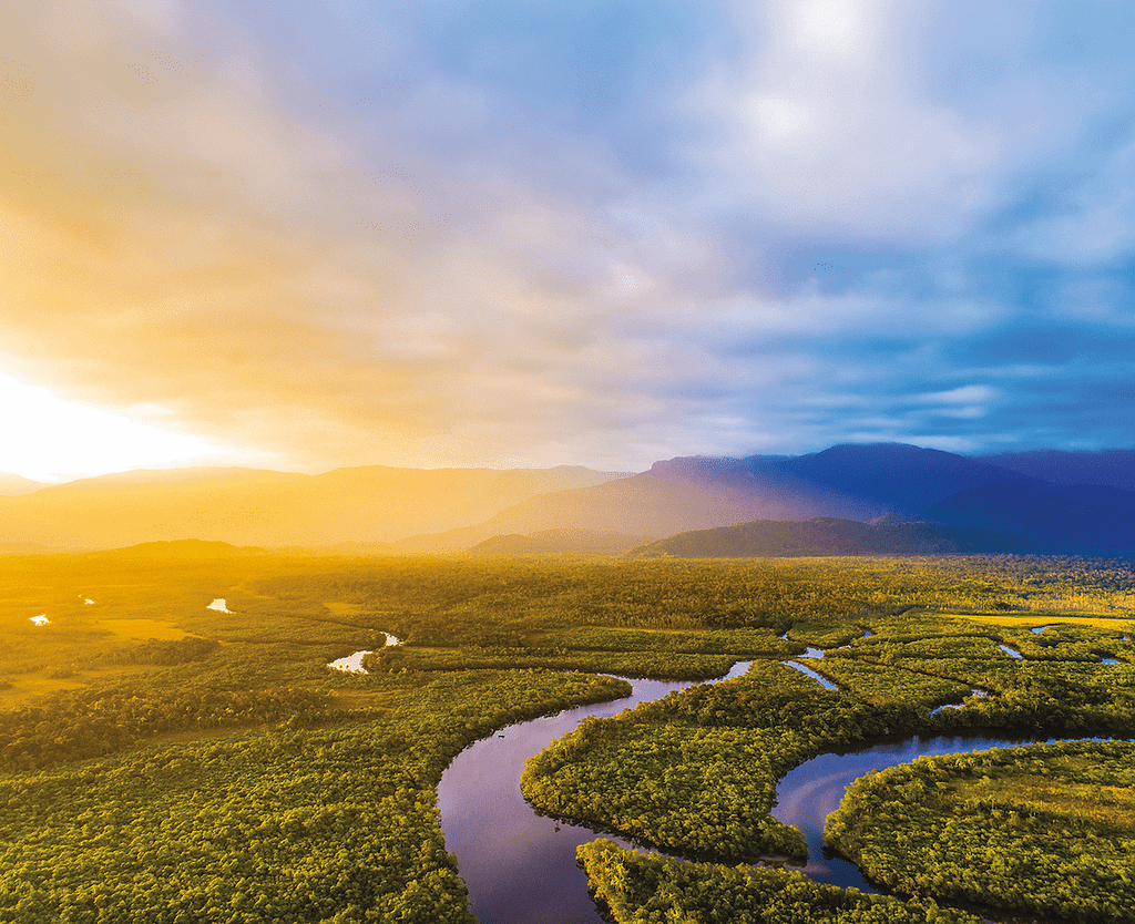 The Amazon River