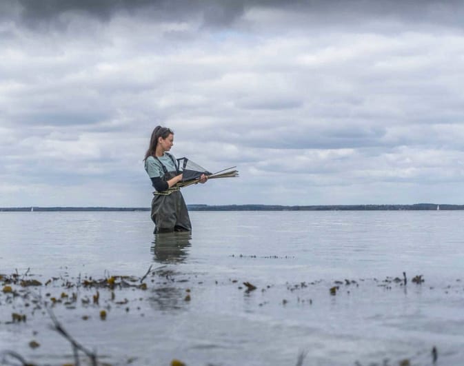 Project Seagrass Associate Scientist Anouska Mendzil - Fred. Olsen Cruises