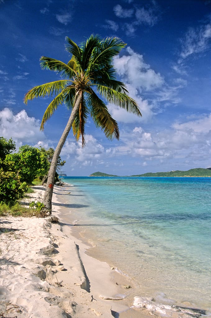 Tobago Cays