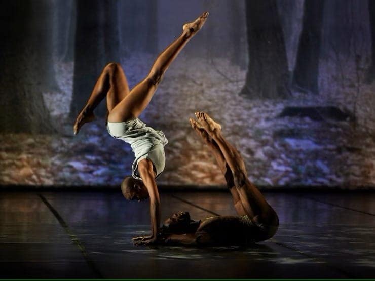 The famous Cuban ballet company Acosta Danza will be on board Queen Victoria from 26 May – 7 July 2025, for a special six-week residency