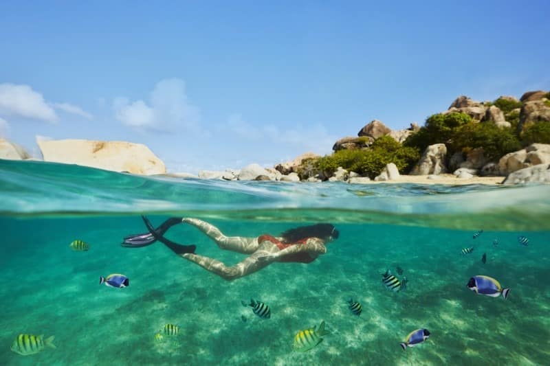 Caribbean - Tortola, Virgin Gouda
