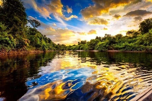 Seabourn - The Amazon - Into the Wild