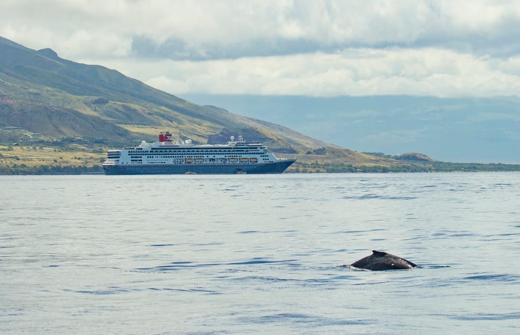 Fred. Olsen Cruise Lines' Borealis with a whale in Hawaii